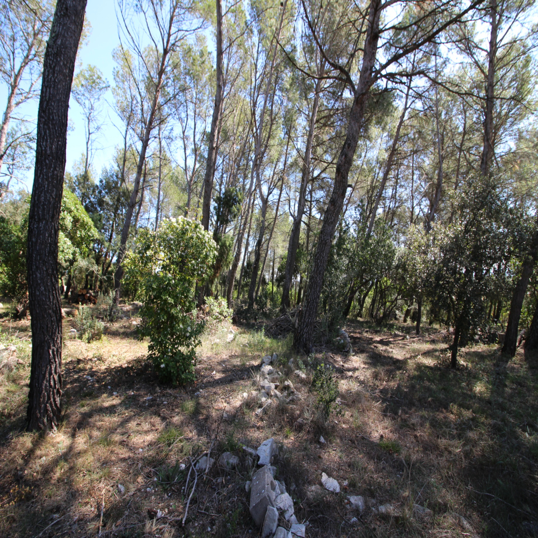 vente-terrain-constructible-d-un-hectare-l-agence-immobili-re