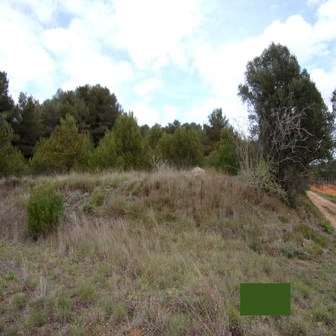 Prix Au M2 Terrain Non Constructible vente Terrain NON CONSTRUCTIBLE, arboré, légèrement pentu de 2850 m2