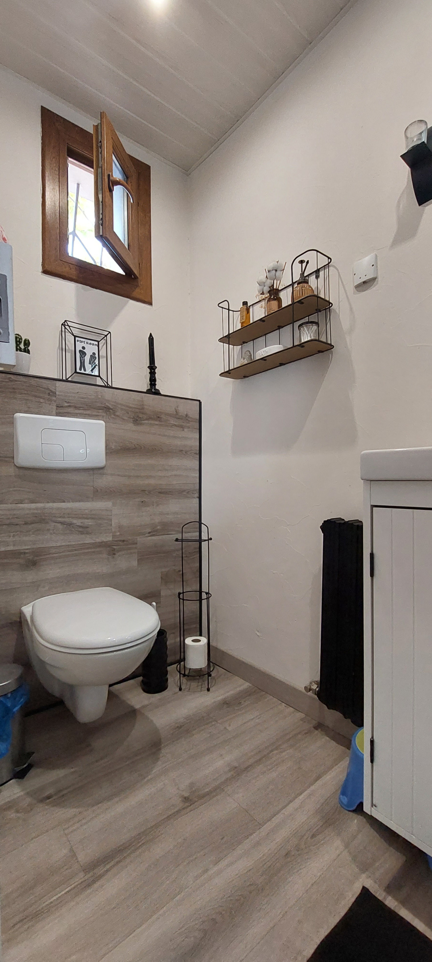 wc dans salle d'eau 1