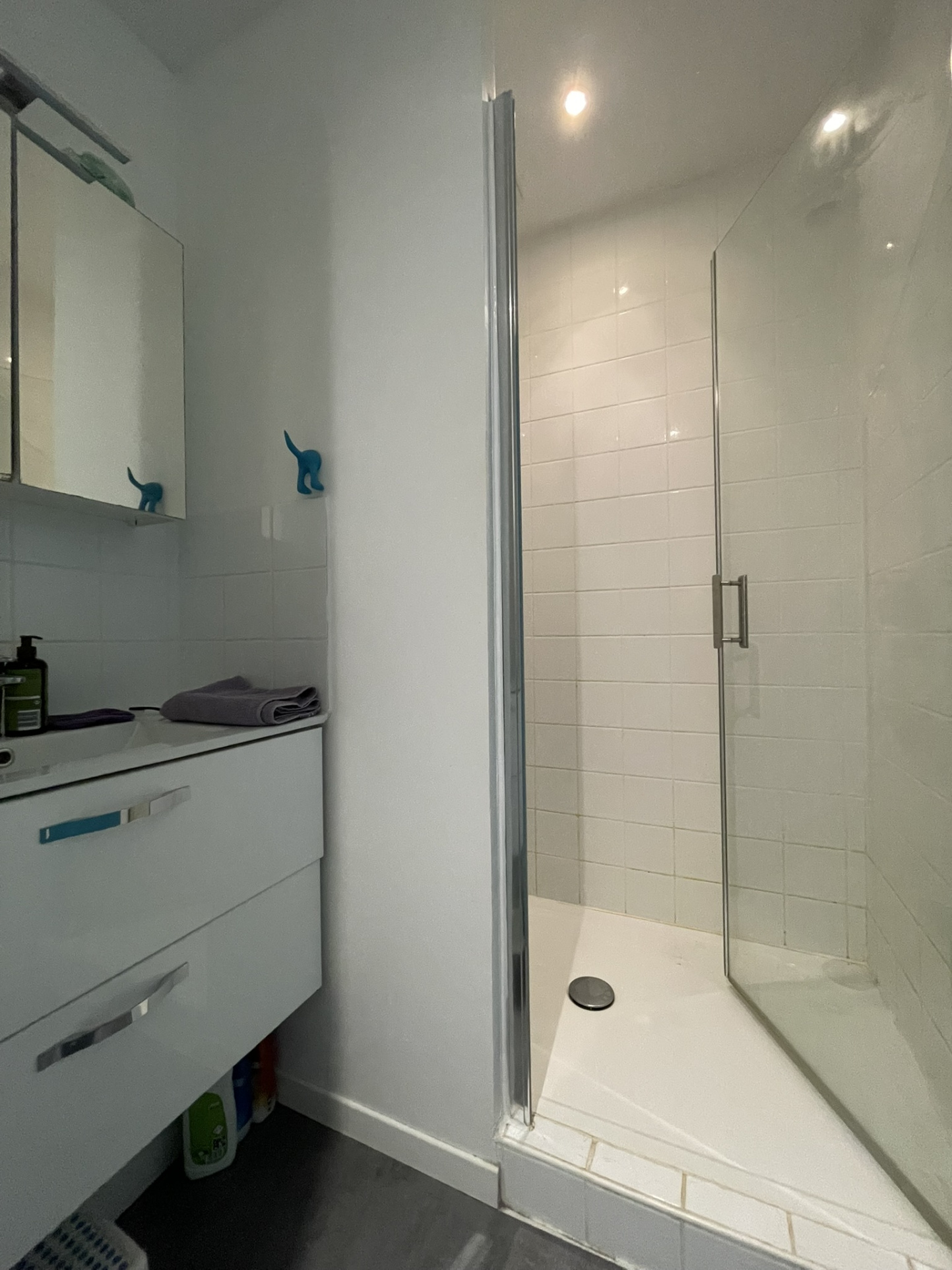 1er étage salle d'eau wc