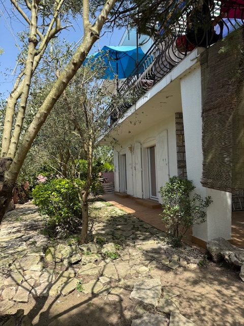 face maison, beaux oliviers