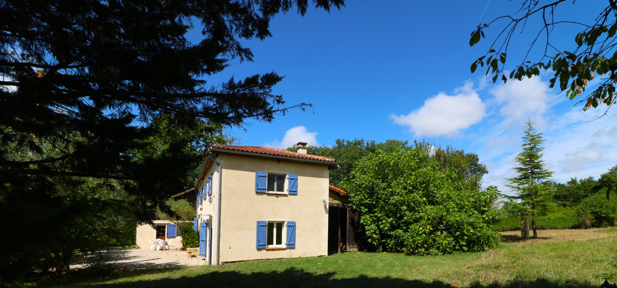 Photo 3