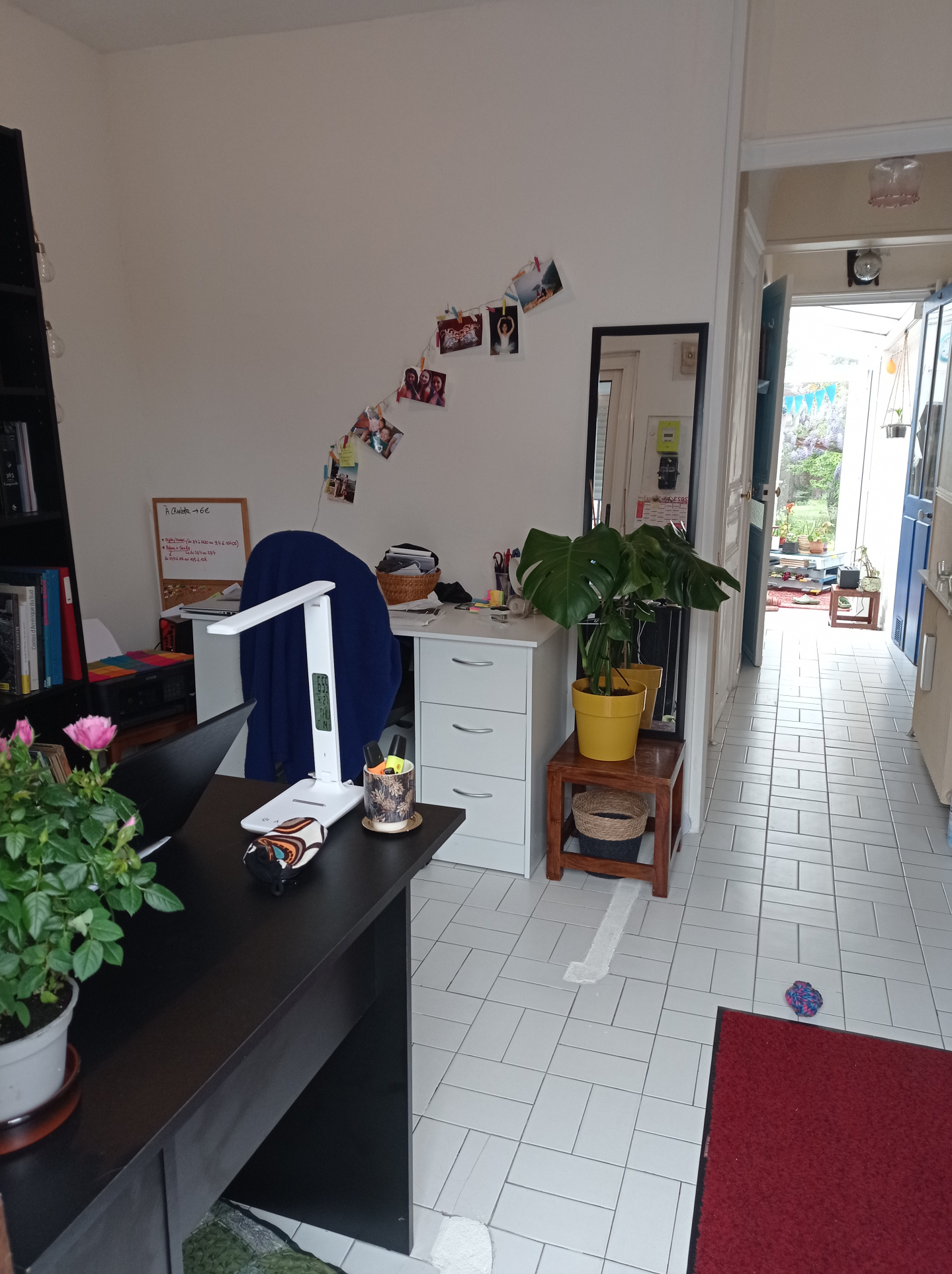 Photo 5