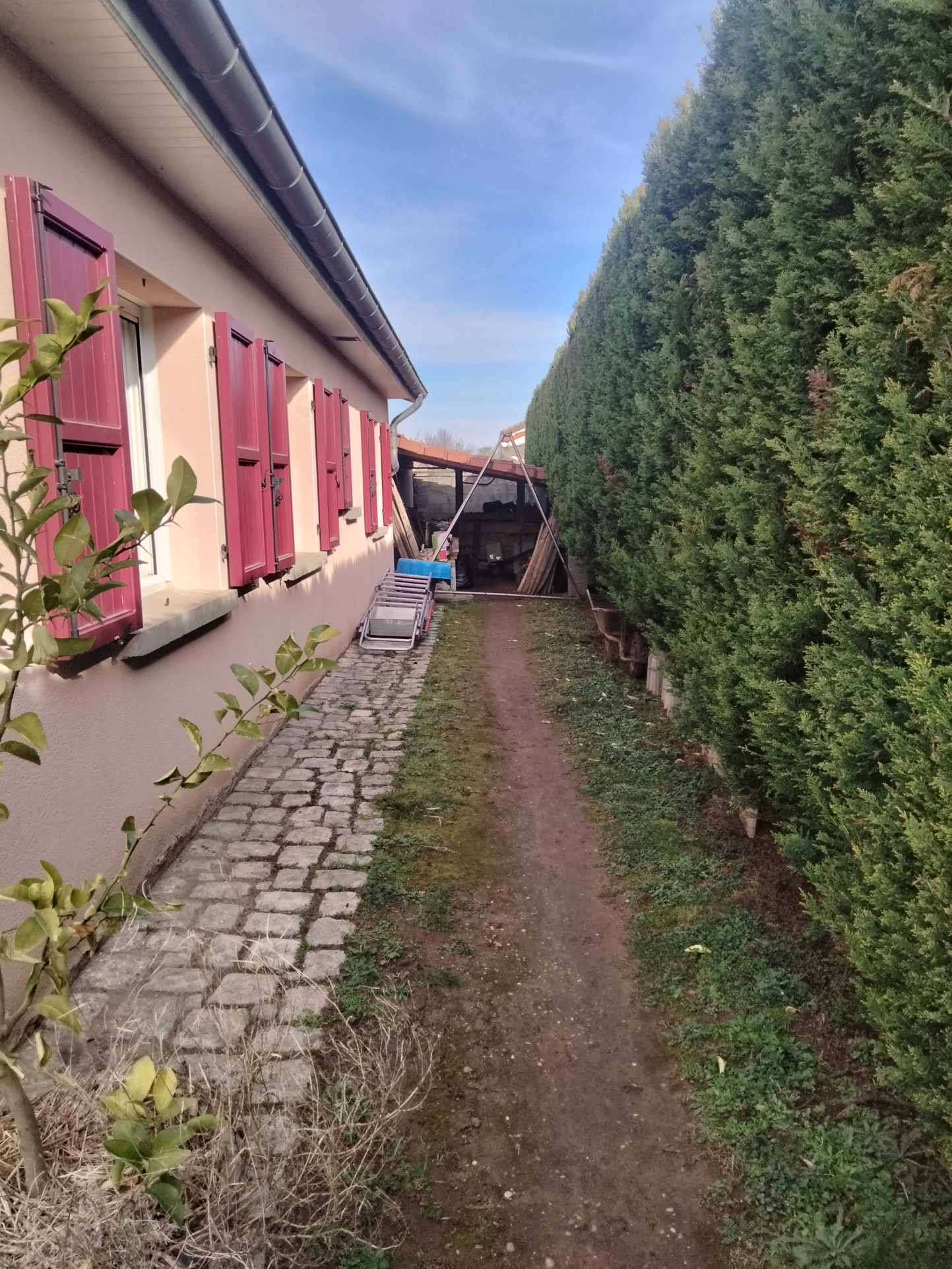 Photo 5