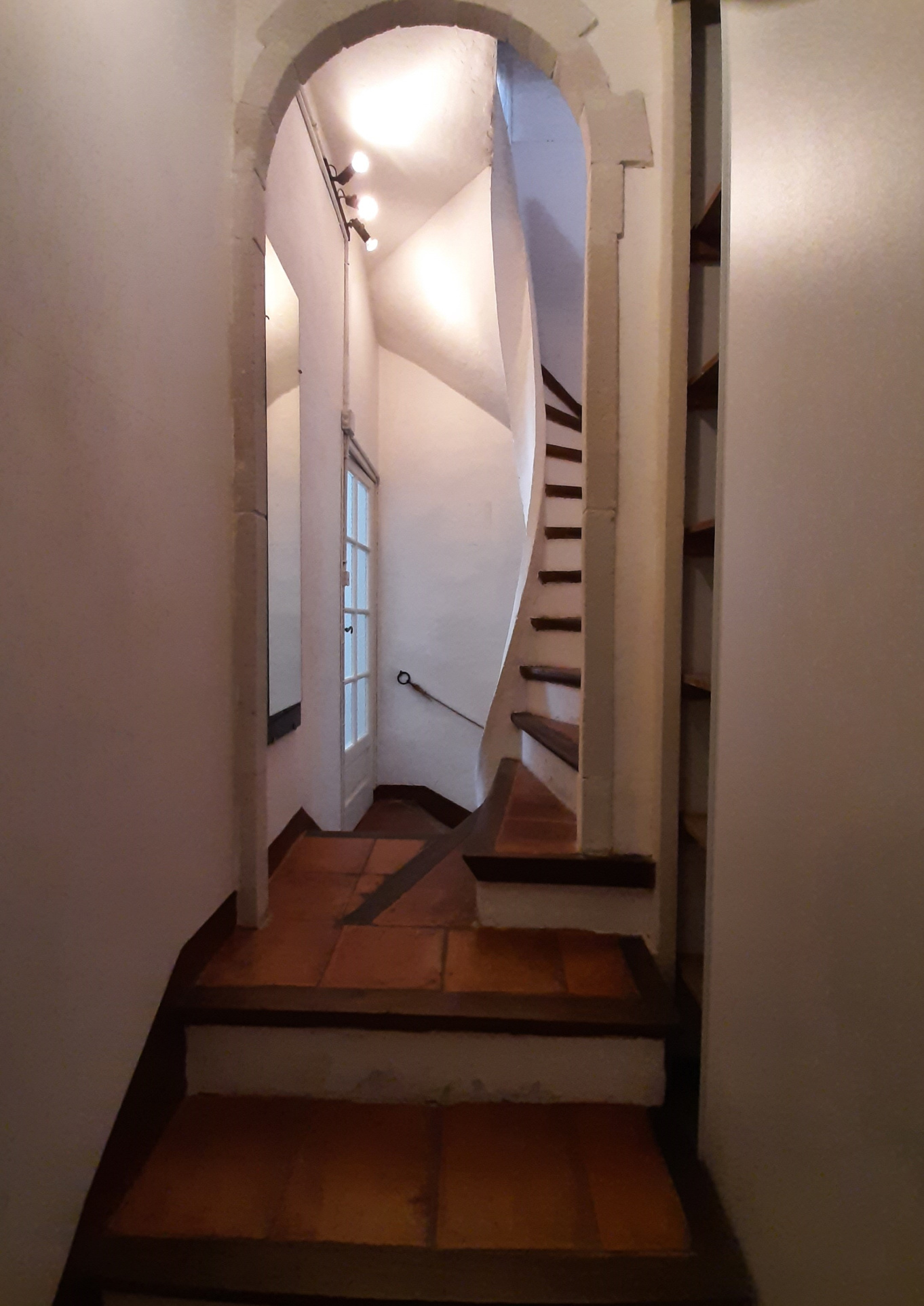 Photo 4