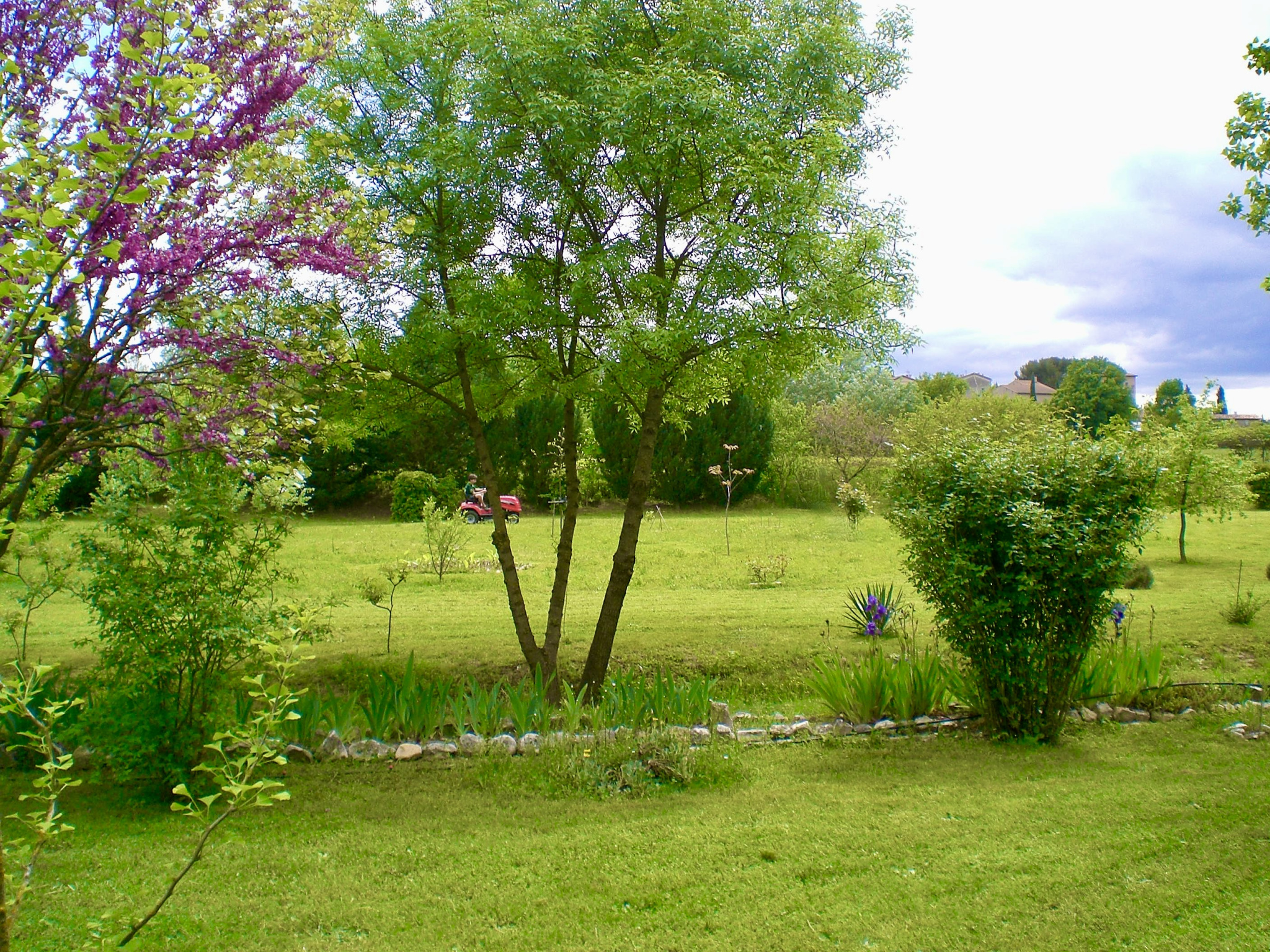 CARDET maison T7 avec terrasse sur 6162 m2 de terrain