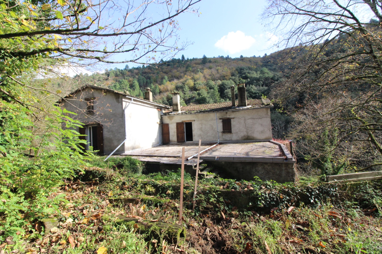 property